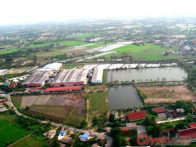 優(yōu)質(zhì)中泰羥丙基(醚化交聯(lián))木薯變性淀粉 -中泰淀粉提供優(yōu)質(zhì)中泰羥丙基(醚化交聯(lián))木薯變性淀粉 的相關(guān)介紹、產(chǎn)品、服務(wù)、圖片、價格中泰淀粉、木薯變性淀粉、