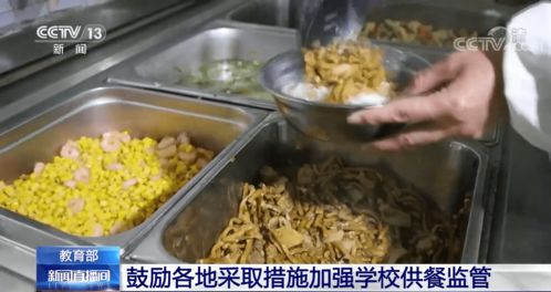 筑牢校園飲食安全網 教育部推動加強供餐監管，守護學生健康底線